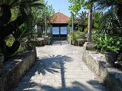 TRSTENO - Arboretum (29)